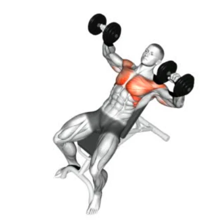 Incline Dumbbell Press Bench Press